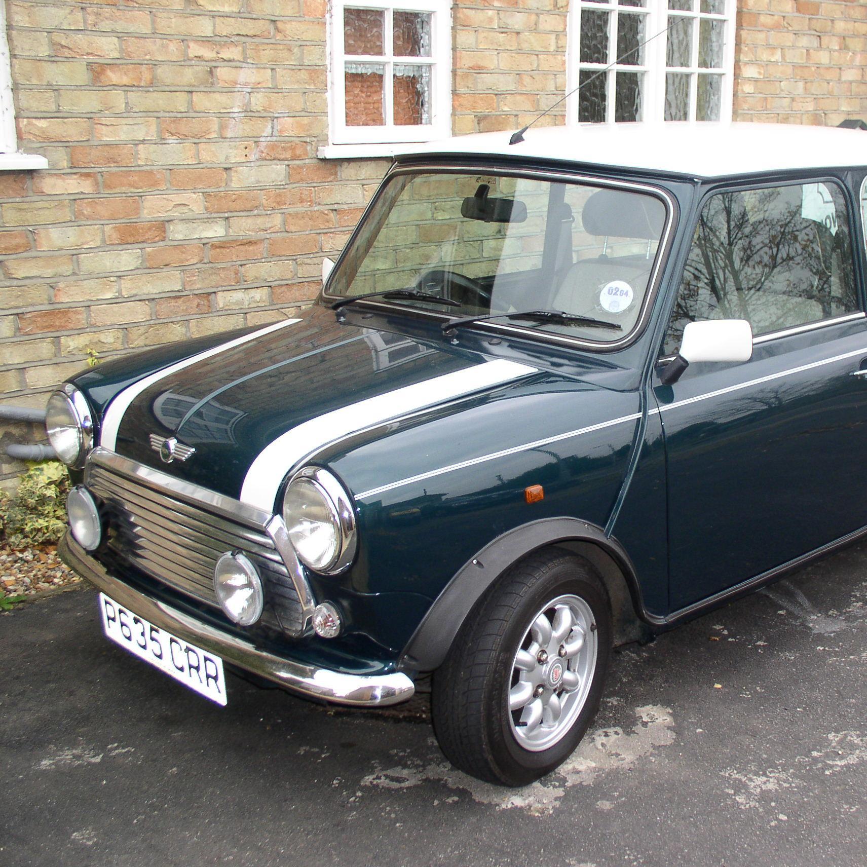 naturopathic6's profile picture. 