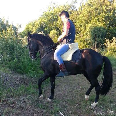 oescudero1's profile picture. Estudiante de ingenieria agropecuaria (Badajoz) , Impossible is nothing.