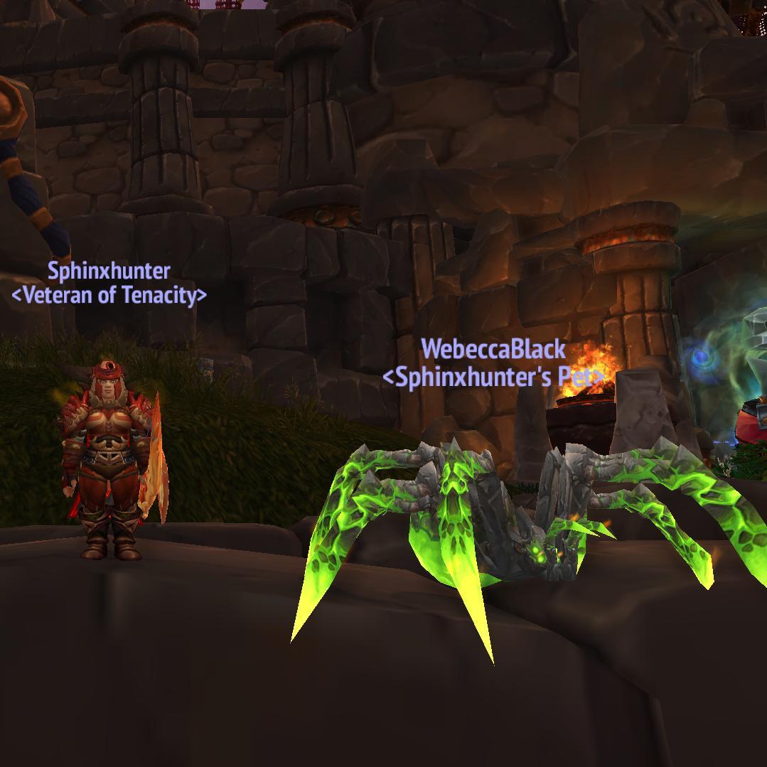 World of Warcraft Hunter Player on Dragonblight - EU