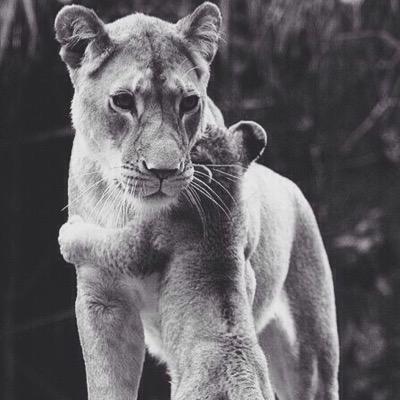 AmandaADPi's profile picture. Shining bright like a diamond since January 19, 2015