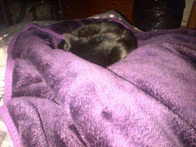 TrishTurner17's profile picture. 