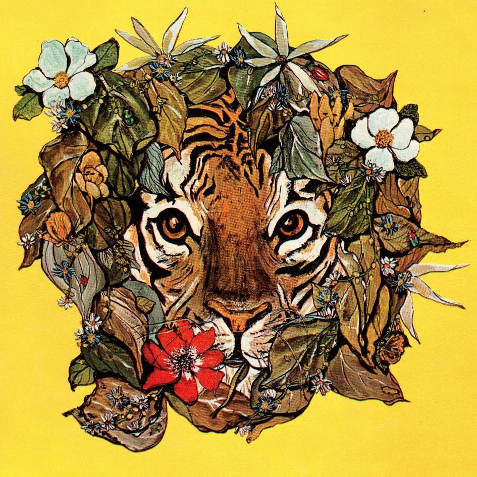 qchanhk's profile picture. 