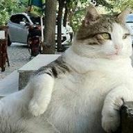 gerianne111's profile picture. ik