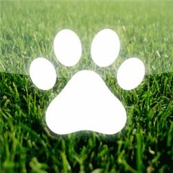 BikePet_Stgo's profile picture. Guia con datos de lugares Bike Friendly y Pet Friendly como cafés, restoranes, pubs, hoteles, oficinas y otros. Manda tu dato y ayudanos a crecer!