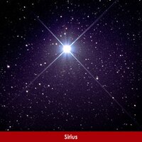 Ray Trusik (@rtrusik) 's Twitter Profile