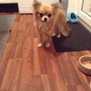 Isabelle Workman - @izzycookie700 - Twitter