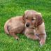 Kathy Owens (@kowensslhs) Twitter profile photo Kathy Owens (@kowensslhs) Twitter profile photo