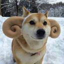 Benjamin Spaulding - @benspaulding829 - Twitter