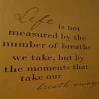 Janie Potter (@potter_janie) Twitter profile photo