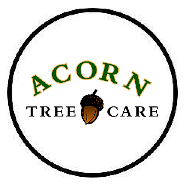 We offer #treeservices including removal, pruning, and general maintenance. Follow us for #arboriculture, #landscapring, and #gardening tips and tricks!