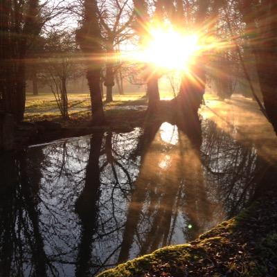 Geoffroyseveri1's profile picture. 