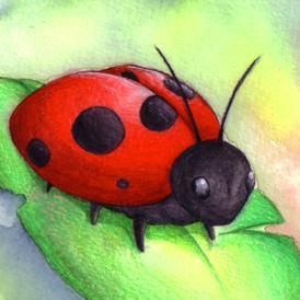 SSanda_Sanda's profile picture. ^,^