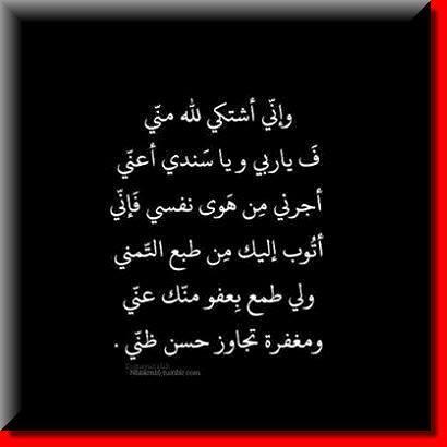 طبيبة بيطرية