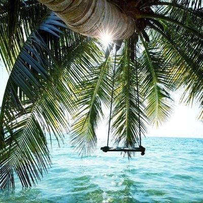 CoconutUnion's profile picture. Bohemian-romantic clothing & accessories at an affordable price. When you leave a room in our clothes, you'll be gone but never forgotten.