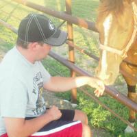 dan (@dan51336689) 's Twitter Profile