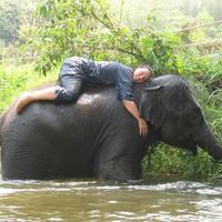 Tory Zellick (@toryzellick) 's Twitter Profile