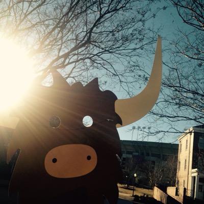 YikYakAU's profile picture. Official Yik Yak Representative for Auburn University ••• Look out for giveaways and contests•••