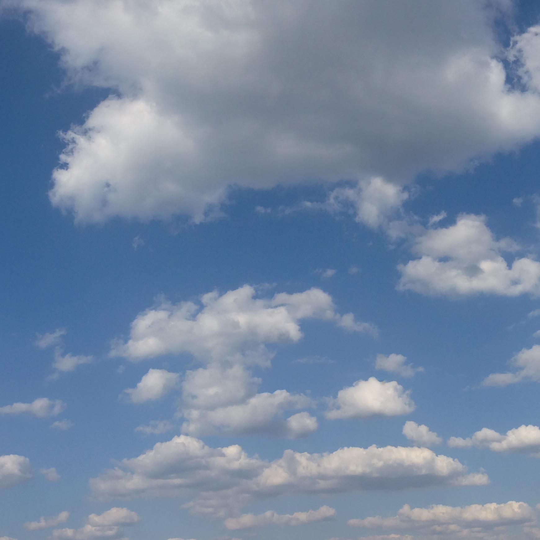 h03l5n3r's profile picture. 