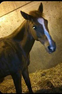 maricarmenvega3's profile picture. 