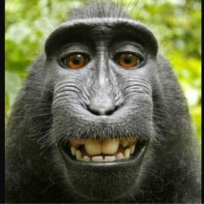 sjdbusndy's profile picture. 