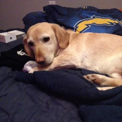 kenchowan0101's profile picture. what's up