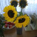 Vickyreynolds1 - @vicky_reynolds1 - Twitter