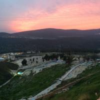 Moishe freund (@moefreund) 's Twitter Profile