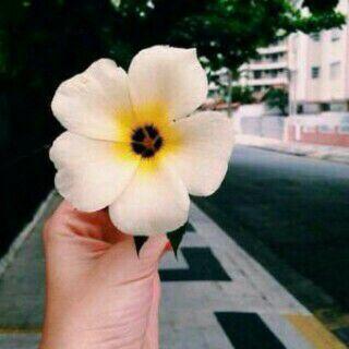 soma_1198's profile picture. ‏ثلاثة لابد أن تستقر في ذهنك: لا نجاة من الموت ، ولا راحة في الدنيا ، ولا سلامة من الناس #الله_يرحم_ابونا #عبد_الله