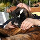 mario simonelli - @LibertaMario - Twitter