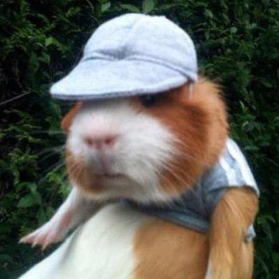 WllNGZ's profile picture. ⠀ ⠀