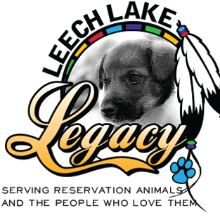 We envision a world in which every reservation dog and cat is well cared for.