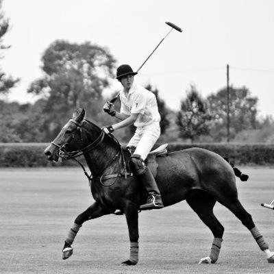 Newhall estate & polo ground based in cheshire,we will keep you posted for 2015 fixtures for polo matches and events email ; newhallpoloknutsford@hotmail.com
