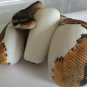 John Saywell - @clayton9348 - Twitter