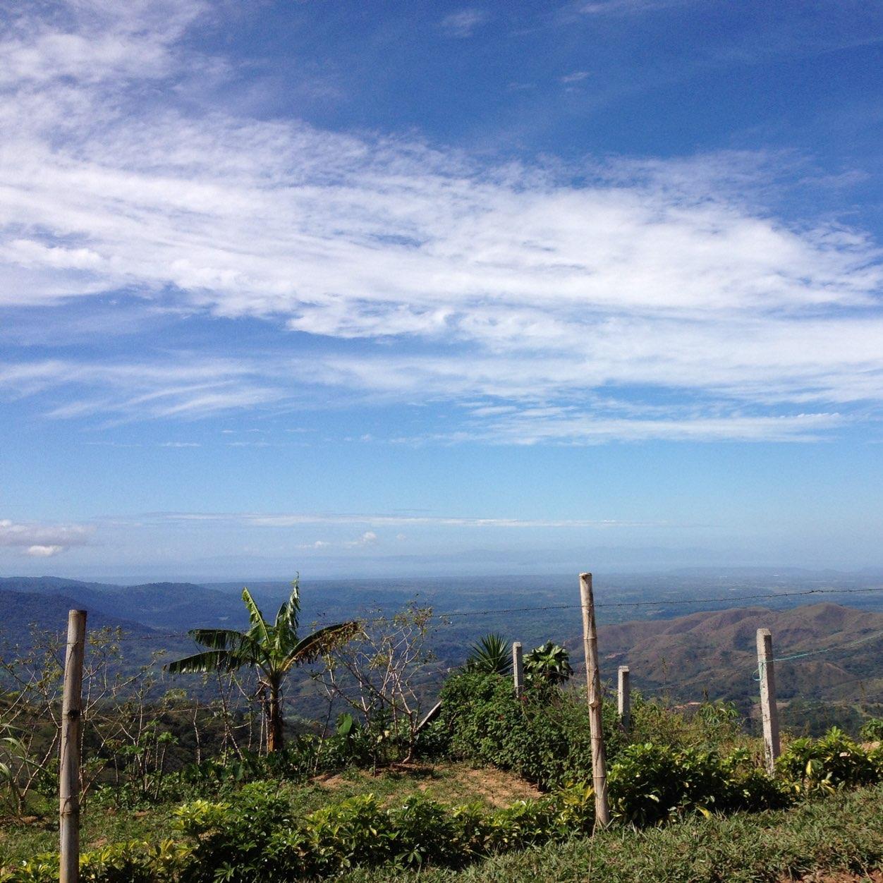 meganmlev's profile picture. 