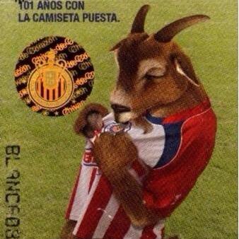 Amo con todo mi ser a mi familia y a mis Chivas Rayadas de Guadalajara