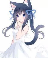 meow