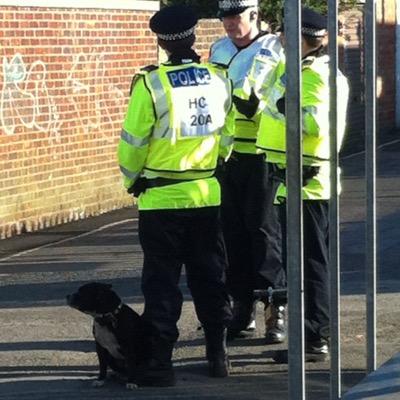 VinceBaxter's profile picture. 