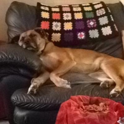 BruceShindler's profile picture. 