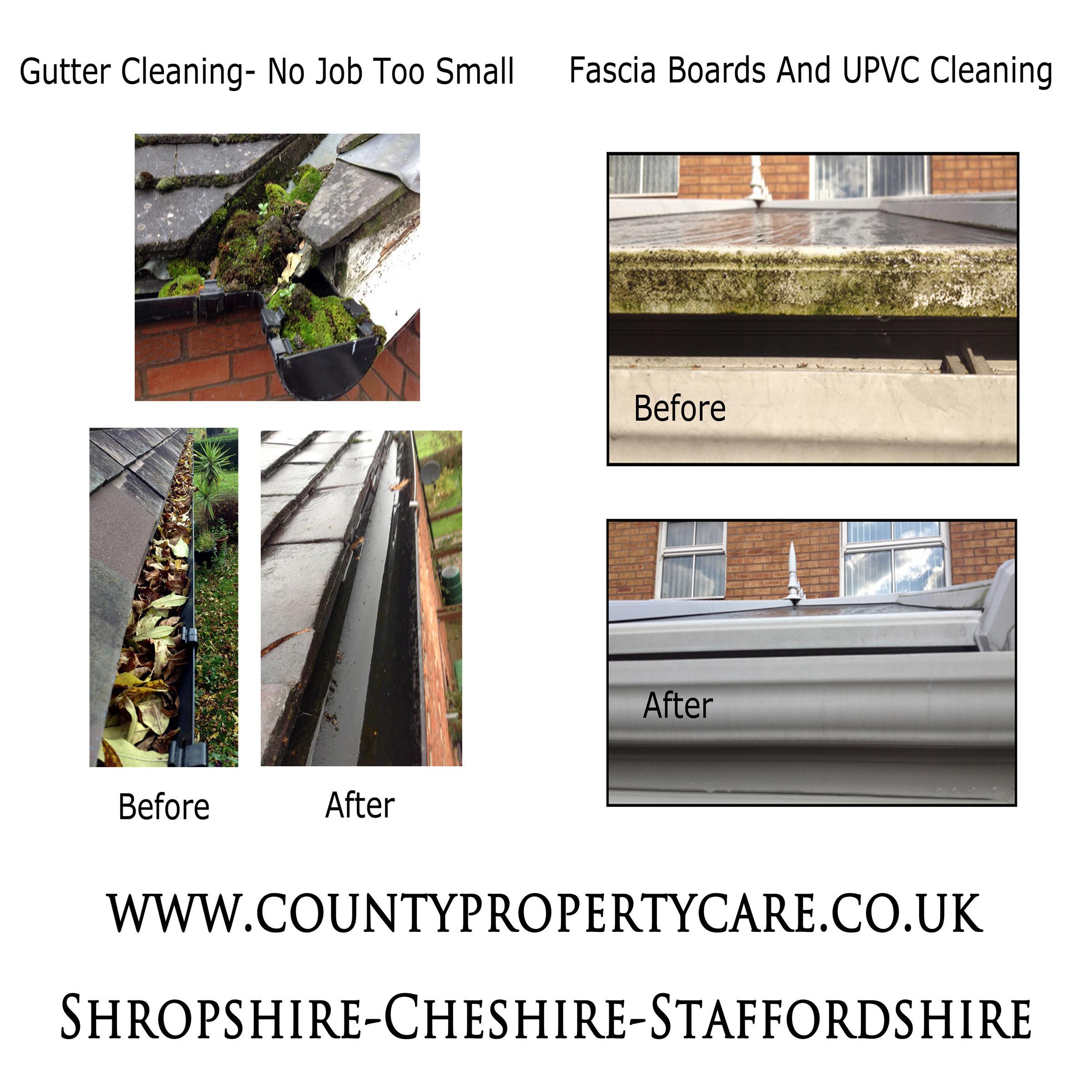 Gutter and Fascia cleaning and repairs, Traditional window cleaning service with ladders, not poles  Professional Jetwash cleaning services sky Freesat and fore