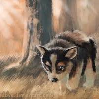 probuilder09's profile picture. 