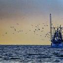 Beverly Duncan - @BeverlyDuncan13 - Twitter