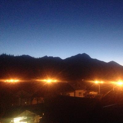 MuzzPigeon's profile picture. 