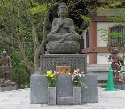 BuddhaFarrell's profile picture. 