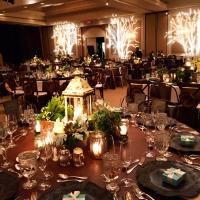 Susie Perelman (@susieperelman) 's Twitter Profile