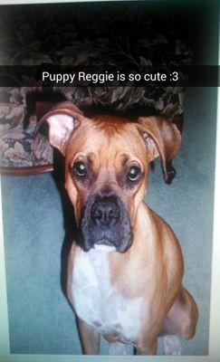 EmAnomaly's profile picture. 