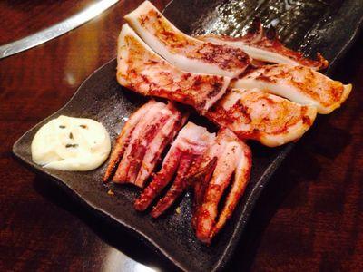 ウォンバットがすごくかわいいの