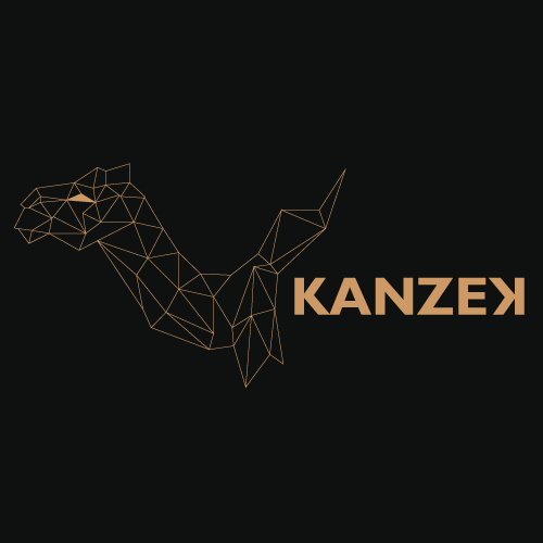 KANZEKco's profile picture. Premium and original leather goods, that blend aesthetics and functionality. Made avec amour in Marrakech for this world's dynamic people.