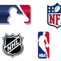 daily sport and player brackets