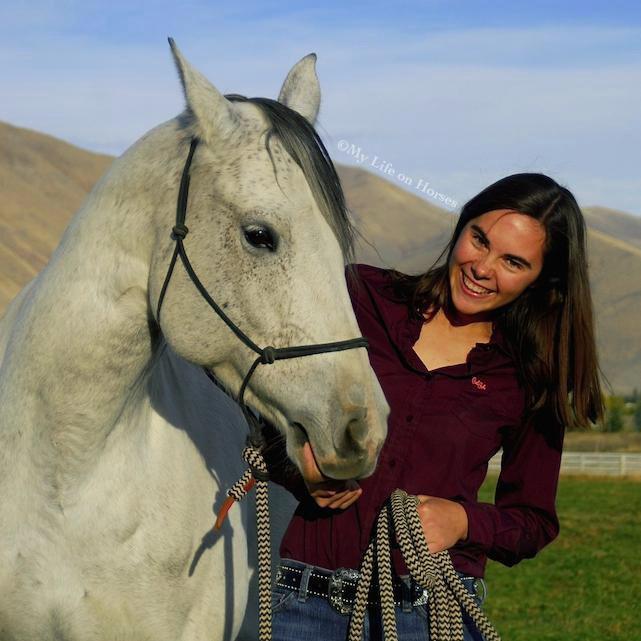 I'm a passionate horsewoman and an owner of a free spirited paint mare, Ava.