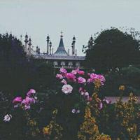 la.Hilal (@001_mol) Twitter profile photo